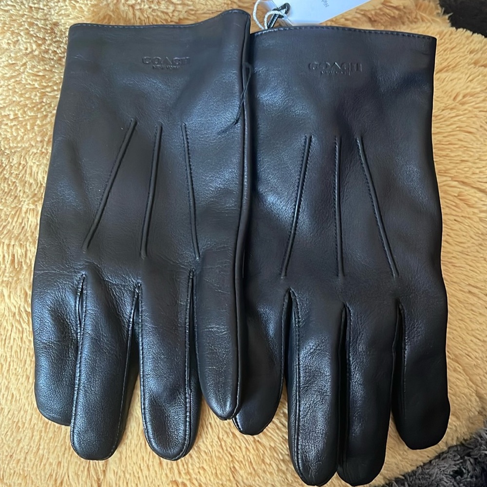 Coach Gloves